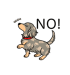 名前入りダックスイザベラタンダップル（個別スタンプ：8）