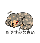 名前入りダックスイザベラタンダップル（個別スタンプ：9）