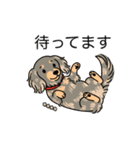 名前入りダックスイザベラタンダップル（個別スタンプ：10）