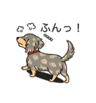 名前入りダックスイザベラタンダップル（個別スタンプ：14）