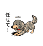 名前入りダックスイザベラタンダップル（個別スタンプ：15）