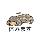 名前入りダックスイザベラタンダップル（個別スタンプ：16）