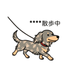 名前入りダックスイザベラタンダップル（個別スタンプ：17）