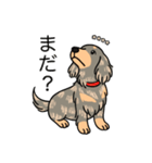 名前入りダックスイザベラタンダップル（個別スタンプ：20）