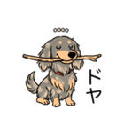 名前入りダックスイザベラタンダップル（個別スタンプ：21）