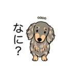 名前入りダックスイザベラタンダップル（個別スタンプ：22）