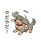 名前入りダックスイザベラタンダップル（個別スタンプ：23）