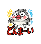 ぶんちょー【落書き風】（個別スタンプ：25）