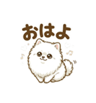 ゆるかわ白ポメ♪癒しの手描きスタンプ（個別スタンプ：1）