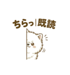ゆるかわ白ポメ♪癒しの手描きスタンプ（個別スタンプ：14）