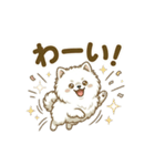 ゆるかわ白ポメ♪癒しの手描きスタンプ（個別スタンプ：16）