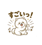 ゆるかわ白ポメ♪癒しの手描きスタンプ（個別スタンプ：17）