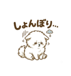 ゆるかわ白ポメ♪癒しの手描きスタンプ（個別スタンプ：19）