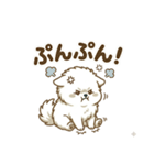 ゆるかわ白ポメ♪癒しの手描きスタンプ（個別スタンプ：20）