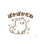 ゆるかわ白ポメ♪癒しの手描きスタンプ（個別スタンプ：24）