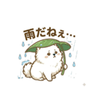 ゆるかわ白ポメ♪癒しの手描きスタンプ（個別スタンプ：25）