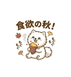 ゆるかわ白ポメ♪癒しの手描きスタンプ（個別スタンプ：29）