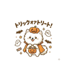 ゆるかわ白ポメ♪癒しの手描きスタンプ（個別スタンプ：30）