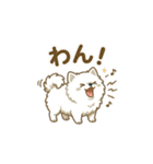 ゆるかわ白ポメ♪癒しの手描きスタンプ（個別スタンプ：38）