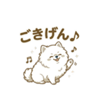 ゆるかわ白ポメ♪癒しの手描きスタンプ（個別スタンプ：40）