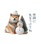 クリスマスな柴犬【かわいい・連絡】（個別スタンプ：3）