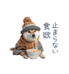クリスマスな柴犬【かわいい・連絡】（個別スタンプ：4）