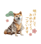 クリスマスな柴犬【かわいい・連絡】（個別スタンプ：5）