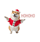 クリスマスな柴犬【かわいい・連絡】（個別スタンプ：9）