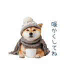 クリスマスな柴犬【かわいい・連絡】（個別スタンプ：17）