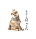 クリスマスな柴犬【かわいい・連絡】（個別スタンプ：22）