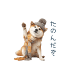 クリスマスな柴犬【かわいい・連絡】（個別スタンプ：25）