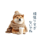 クリスマスな柴犬【かわいい・連絡】（個別スタンプ：30）