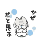 ちびねっこ5☆ずっと使える挨拶や感情 + 冬（個別スタンプ：11）