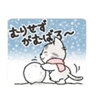 ちびねっこ5☆ずっと使える挨拶や感情 + 冬（個別スタンプ：13）