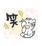 ちびねっこ5☆ずっと使える挨拶や感情 + 冬（個別スタンプ：23）