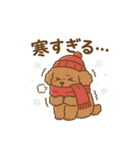【日常＆冬】ゆるかわトイプードル（個別スタンプ：1）