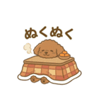 【日常＆冬】ゆるかわトイプードル（個別スタンプ：3）