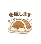 【日常＆冬】ゆるかわトイプードル（個別スタンプ：8）