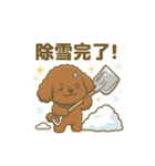 【日常＆冬】ゆるかわトイプードル（個別スタンプ：10）