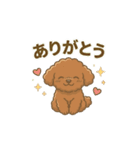 【日常＆冬】ゆるかわトイプードル（個別スタンプ：12）