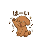 【日常＆冬】ゆるかわトイプードル（個別スタンプ：16）
