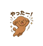 【日常＆冬】ゆるかわトイプードル（個別スタンプ：19）