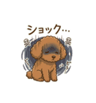 【日常＆冬】ゆるかわトイプードル（個別スタンプ：21）