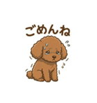 【日常＆冬】ゆるかわトイプードル（個別スタンプ：22）