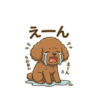 【日常＆冬】ゆるかわトイプードル（個別スタンプ：24）