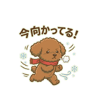 【日常＆冬】ゆるかわトイプードル（個別スタンプ：27）