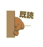 【日常＆冬】ゆるかわトイプードル（個別スタンプ：30）