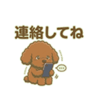 【日常＆冬】ゆるかわトイプードル（個別スタンプ：31）