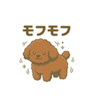 【日常＆冬】ゆるかわトイプードル（個別スタンプ：33）