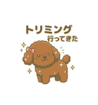 【日常＆冬】ゆるかわトイプードル（個別スタンプ：34）